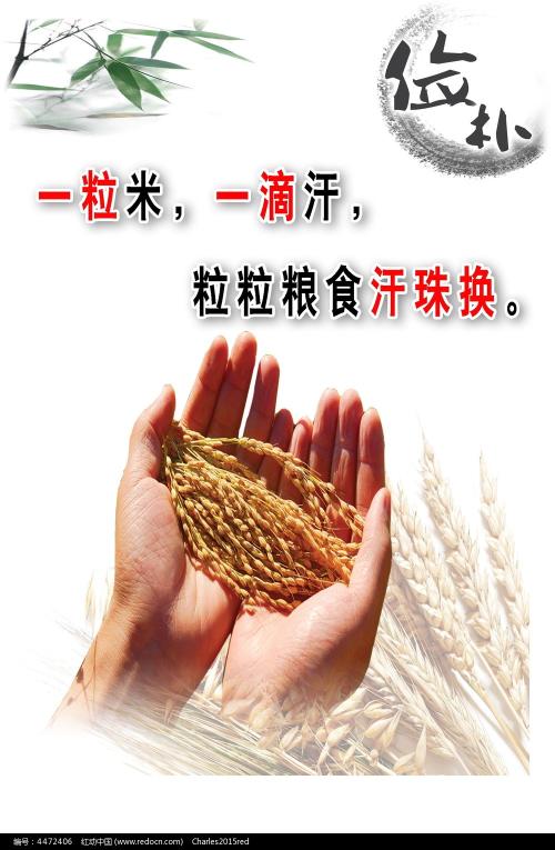 茨城大学diploma